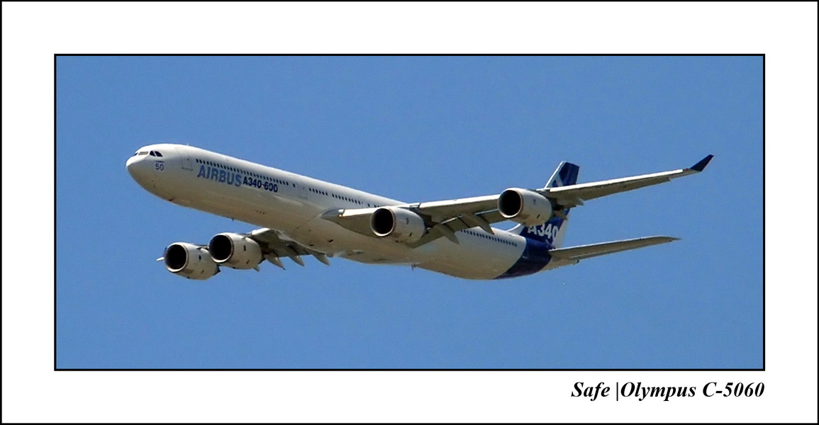 2005   06   A340   10.jpg